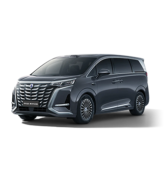 2025款云顶集团3118D9